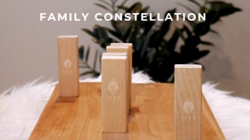 REPRESENTATIVES FAMILY CONSTELLATION THERAPY